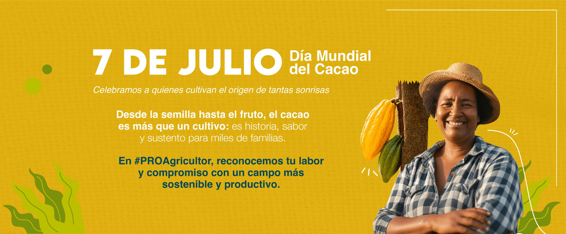 BANNER-DIA-MUNDIAL-DEL-CACAO