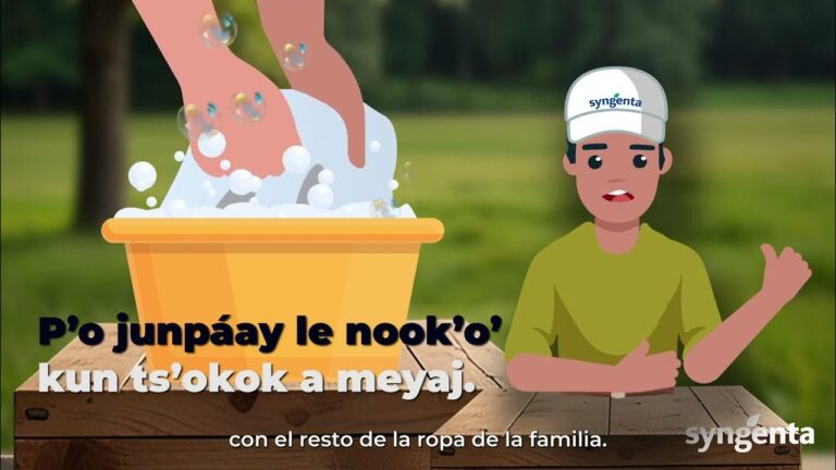 5 Reglas de oro para el manejo responsable de productos para la protección de cultivos Maya