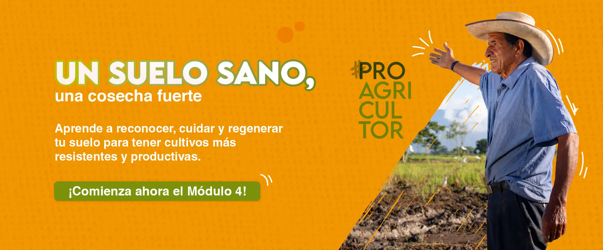 BANNER MÓDULOS-4