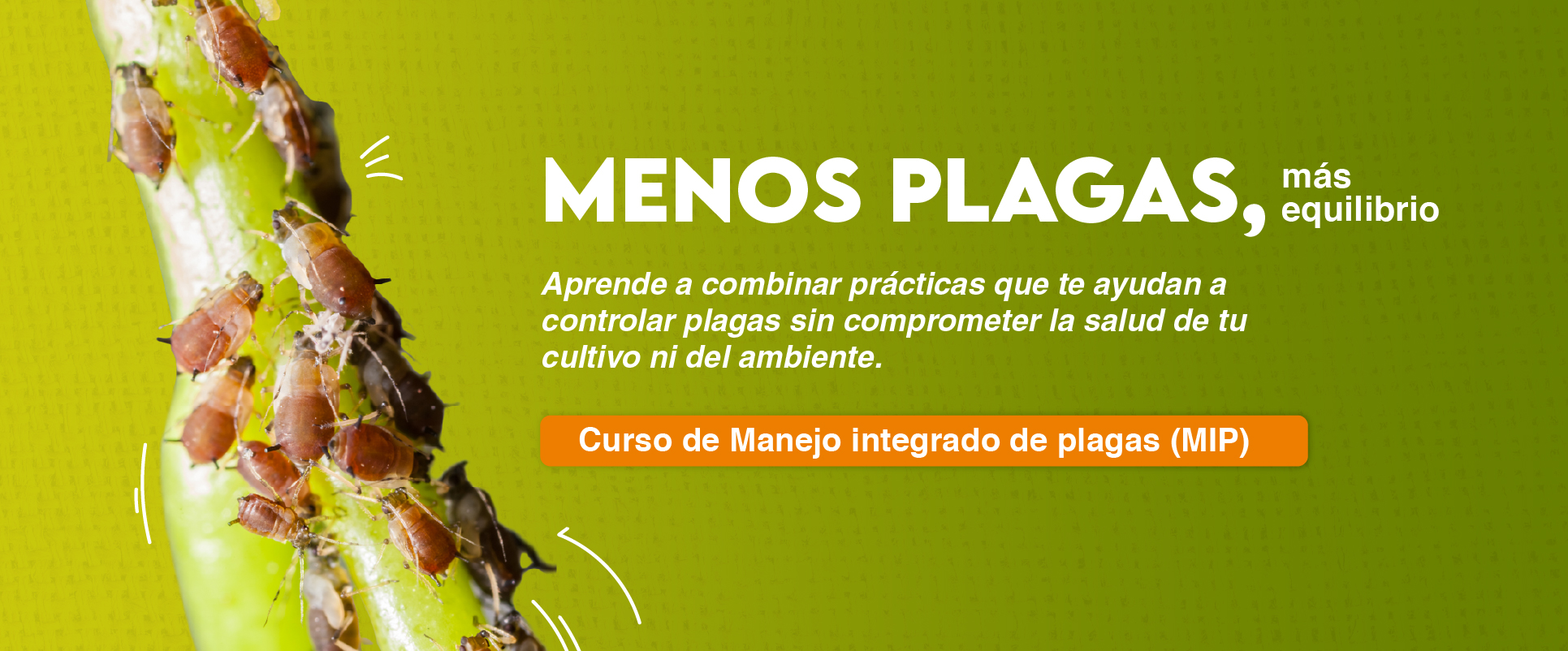 BANNER MÓDULOS-5