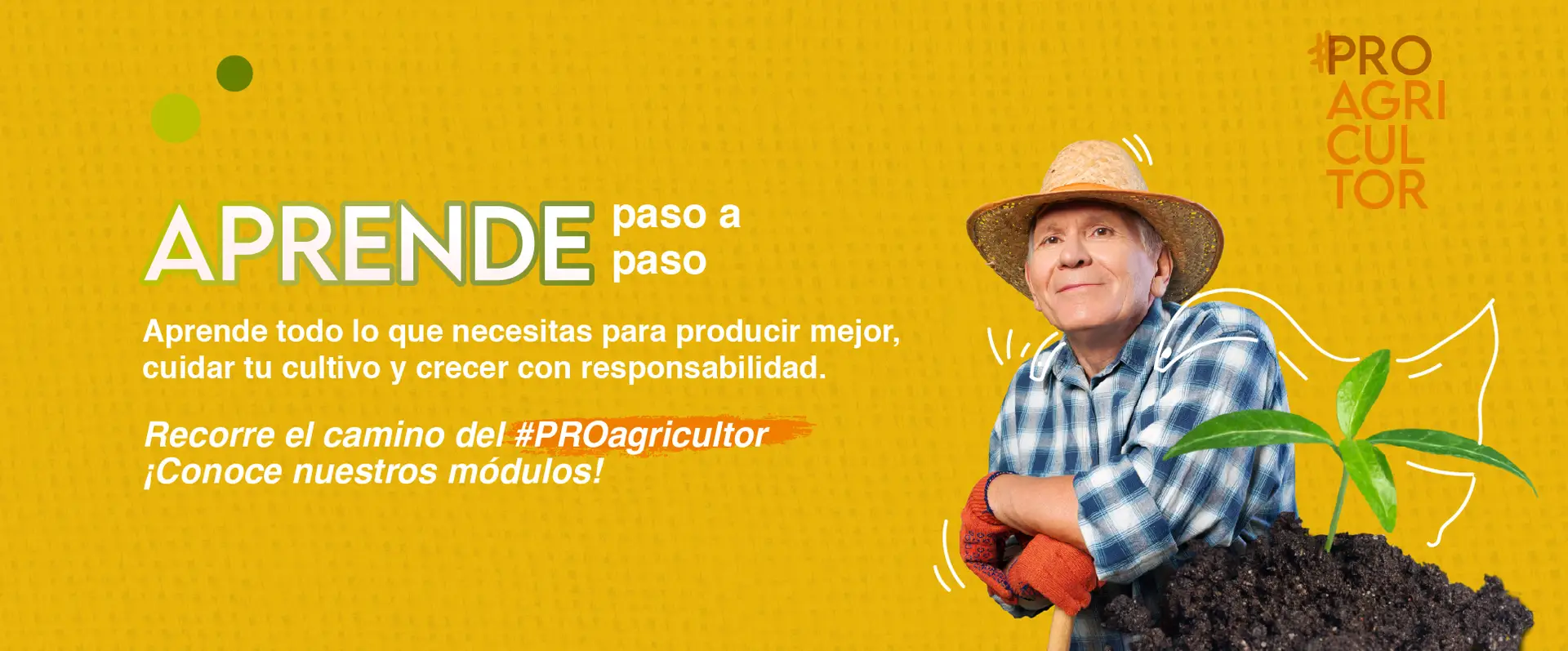 BANNER MÓDULOS