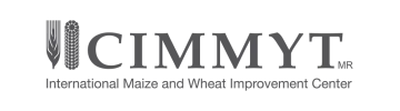 CIMMYT-logo-076fb40c