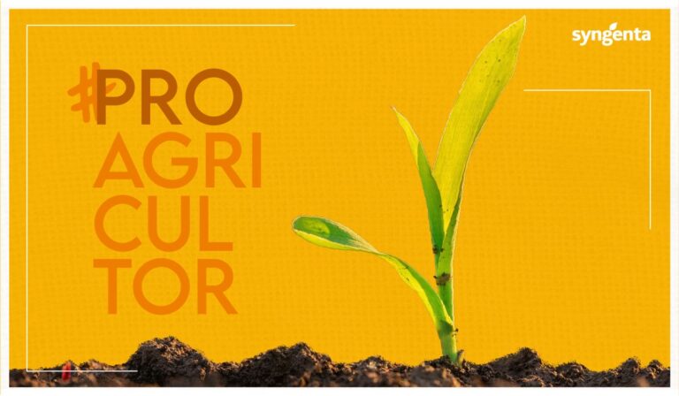 MIN-PROAGRI-MOD-6