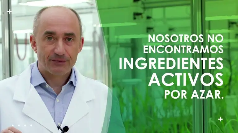 Ingredientes Activos