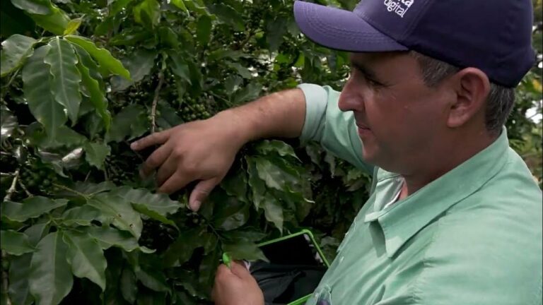 Syngenta Lidera el Cambio