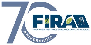 fira70
